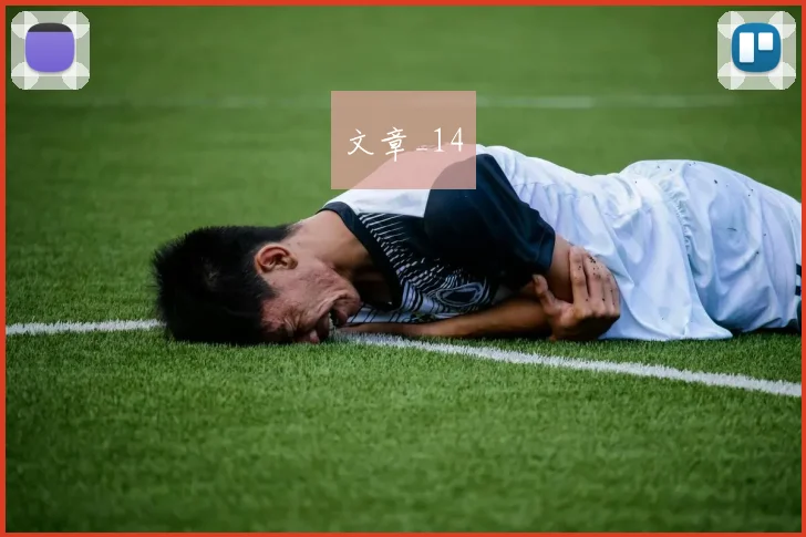 文章_14