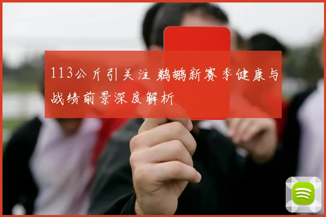 113公斤引关注 鹈鹕新赛季健康与战绩前景深度解析